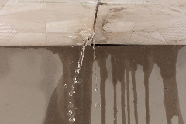 Professional Water Damage Inspection technician working in Larue, TX